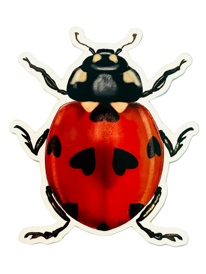 Carolyn McManus - LadyBug Sticker