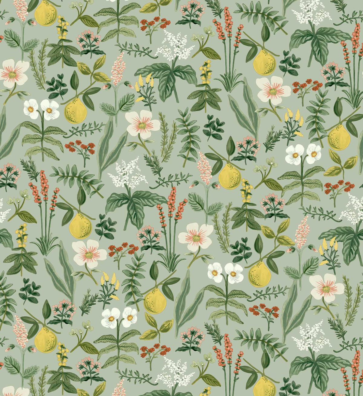 Herb Garden Peel & Stick Wallpaper - Sage