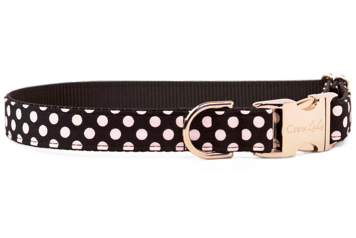 Black & White Polka Dot Bow Tie Dog Collar - Crew LaLa
