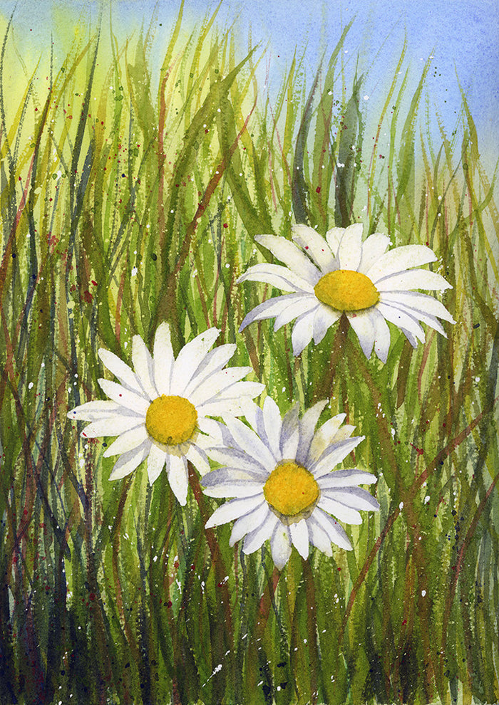 Daisies Watercolor - Art Print - Zapista