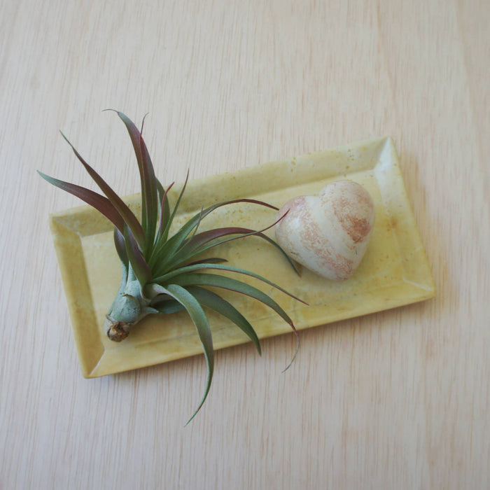 Natural Soapstone Rectangle Dish