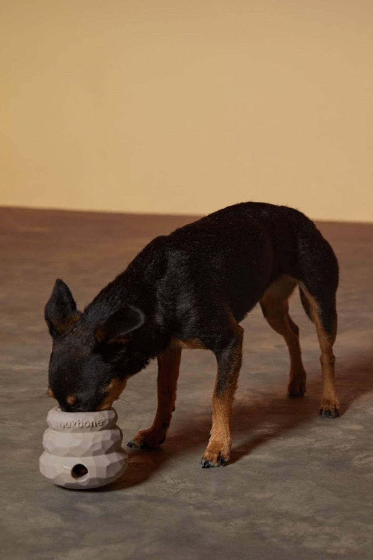 maxbone - Honeycomb Balance Dog Toy