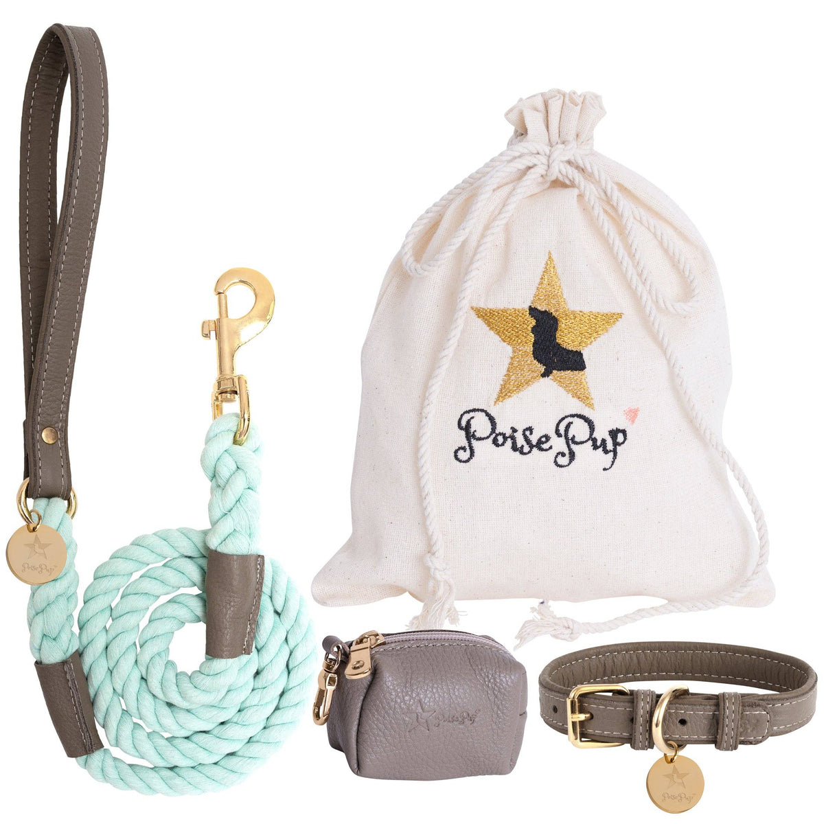 PoisePup - LEASH - DESERT MINT