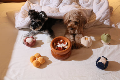 PEHOM - Soufflé Pet Bowl - Amber Orange