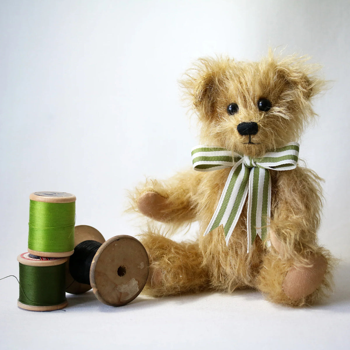 Canterbury Bears Wilfred
