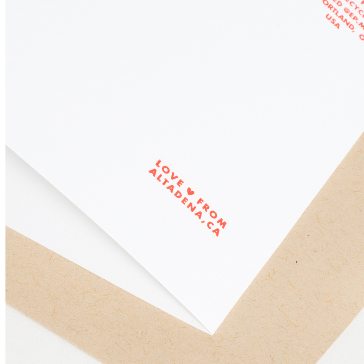 Black Bear Birthday Letterpress Greeting Card