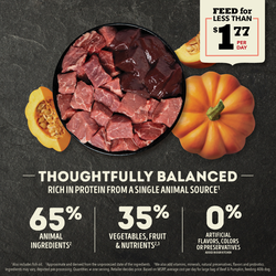 ACANA Singles Limited Ingredient Beef and Pumpkin Dry Dog Food