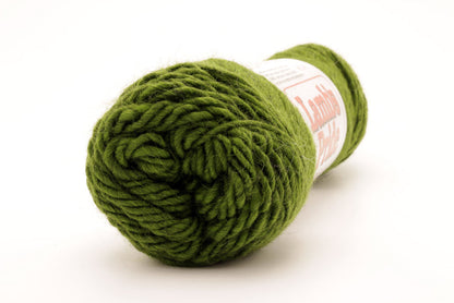 Brown Sheep Co - Lamb's Pride Worsted / Kiwi M191