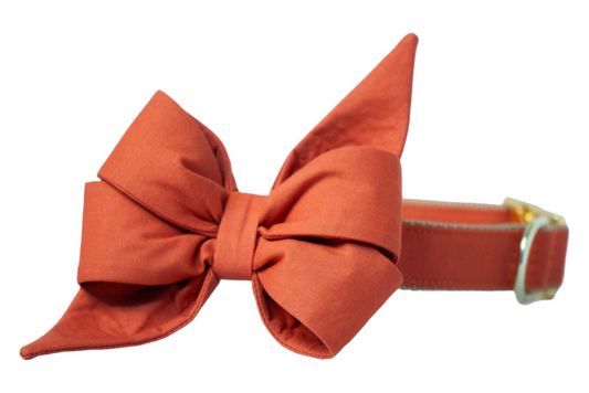 Burnt orange dog collar with an oversized matching belle bow, the perfect fall accessory for dogs to wear during autumn walks and Halloween celebrations.