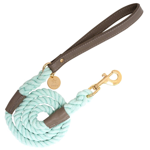 PoisePup - LEASH - DESERT MINT