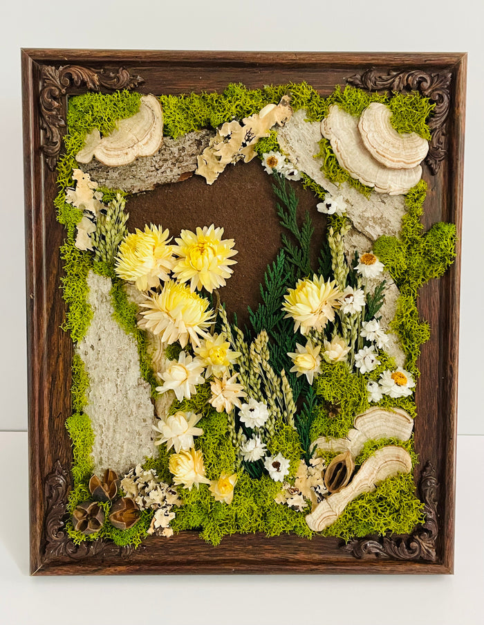 CA Studios - Framed Forest 9.5"x11.5"