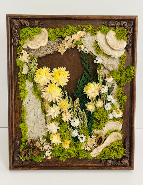 CA Studios - Framed Forest 9.5"x11.5"