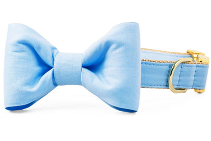 A charming light blue bow tie dog collar featuring a simple, structured bow with gentle creases, complemented by gold-colored buckle and D-ring closures against a beige woven underside.