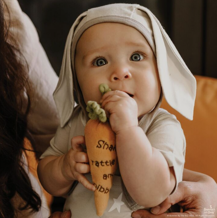 Carrot Rattle