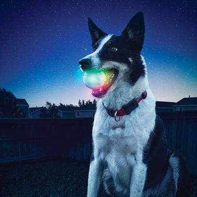 Nite Ize GlowStreak LED Ball - Disc-O