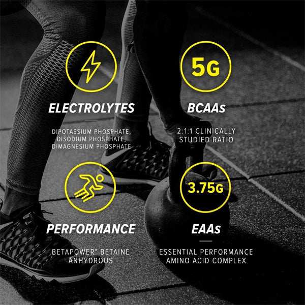 Cellucor Alpha Amino Performance BCAAs 30 Servings