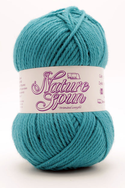Small/Medium / Brown Sheep Co. - NatureSpun Worsted / Turquoise Wonder N78