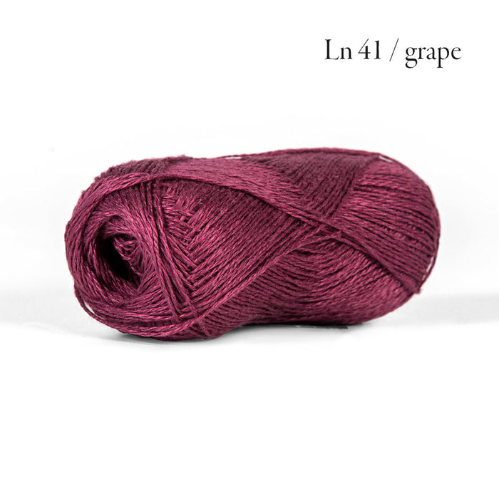 XS / Grape LN41