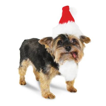 Dogo Pet - Santa Hat: L