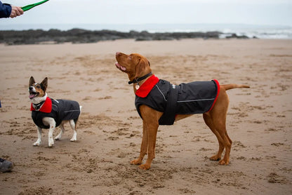 Dryrobe Dog/ Pet Jacket - Black/ Red