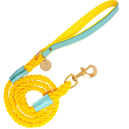 PoisePup - LEASH - SUNSHINE BABE