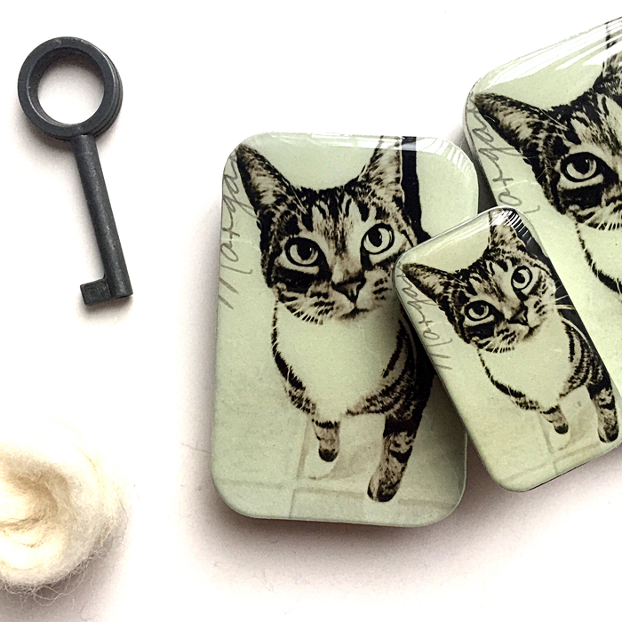 Firefly Notes - Cat Knit Kit with Notions