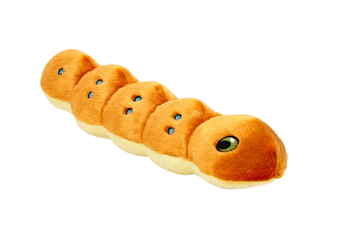 Fluff & Tuff™ "Spicy Caterpillar" Dog Toy - Crew LaLa