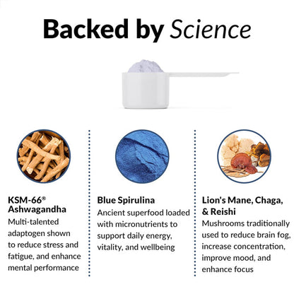 Force Factor Organics Blues Superfood Powder