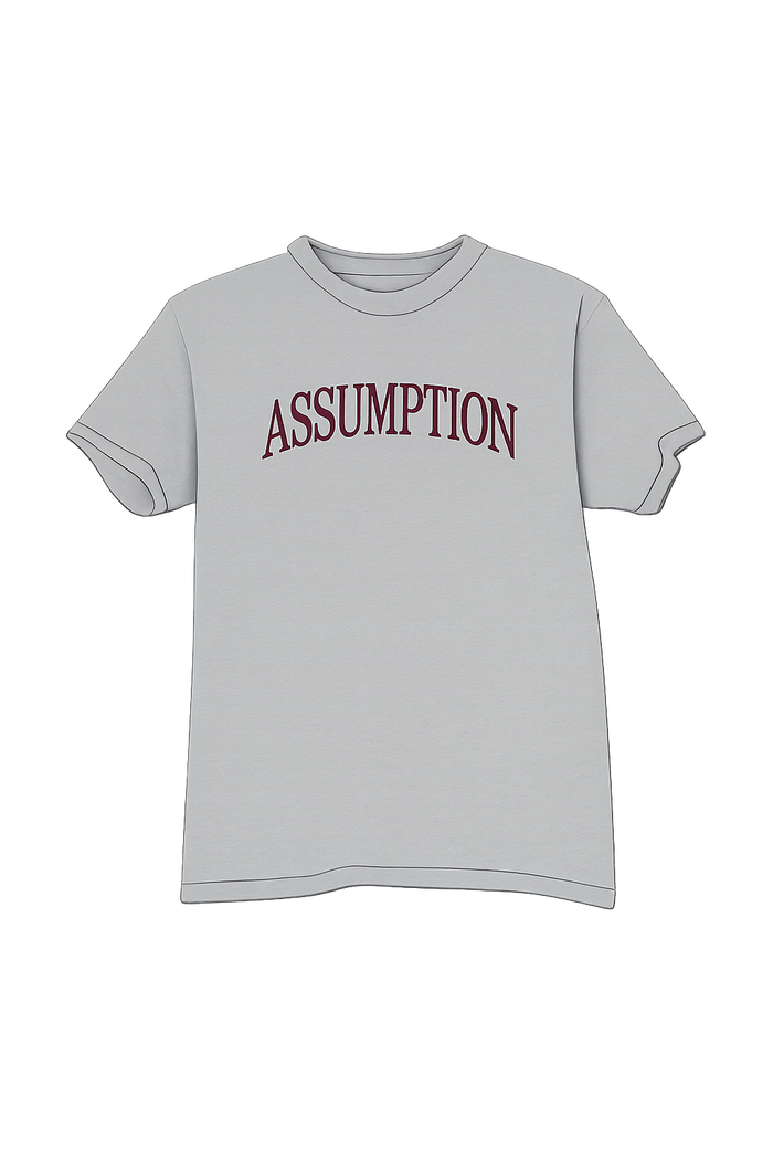 Grey Assumption Arched Gildan