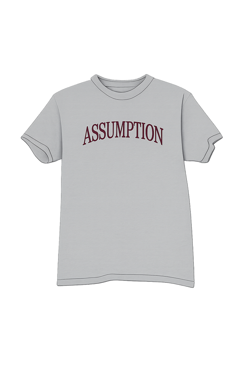 Grey Assumption Arched Gildan
