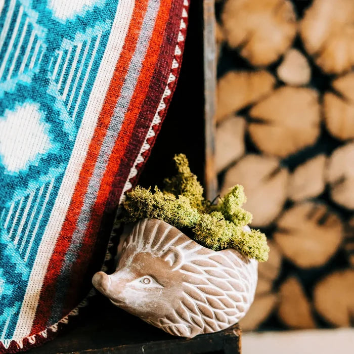 Hedgehog Planter - Assorted Sizes- Sold Individually (* Local Pickup / Local Delivery Only)