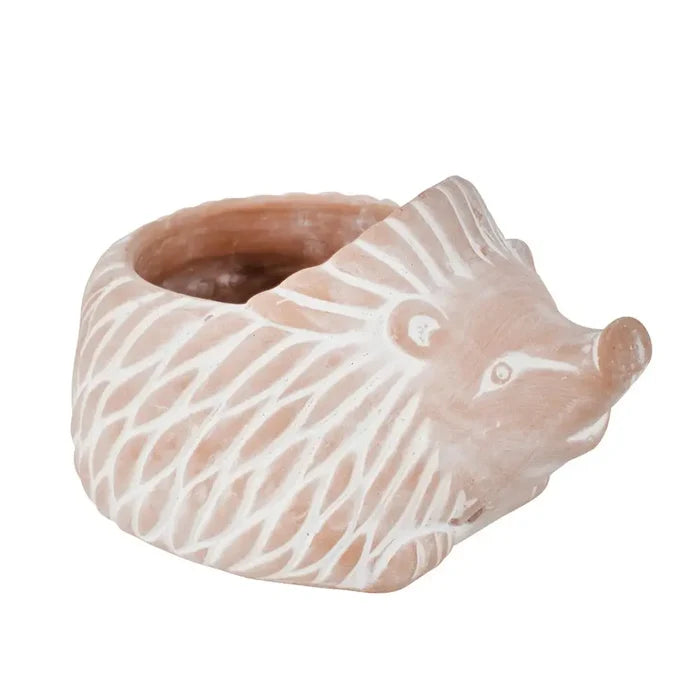 Hedgehog Planter - Assorted Sizes- Sold Individually (* Local Pickup / Local Delivery Only)