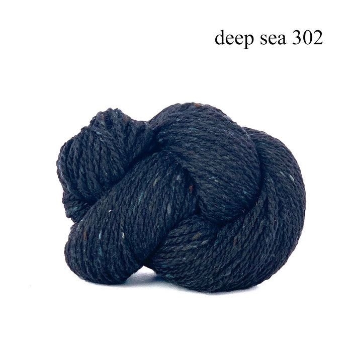 Deep Sea 302