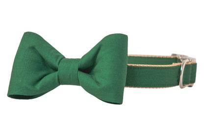 Playful kelly green dog collar with an attached and matching bow tie and luxe metal hardware, blending everyday durability with formal flair for style-conscious canines.