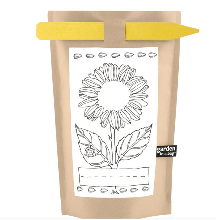 Kids Garden in a Bag | Mini Sunflower