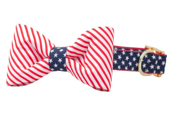 Patriotic-themed dog collar with a bold matching bow tie in red and white diagonal stripes, accented with a blue center band covered in white stars. The collar is made of matching star-print fabric and includes a shiny gold D-ring and buckle.