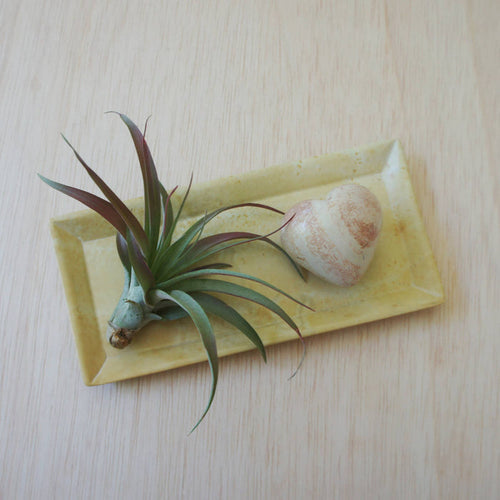 Natural Soapstone Rectangle Dish