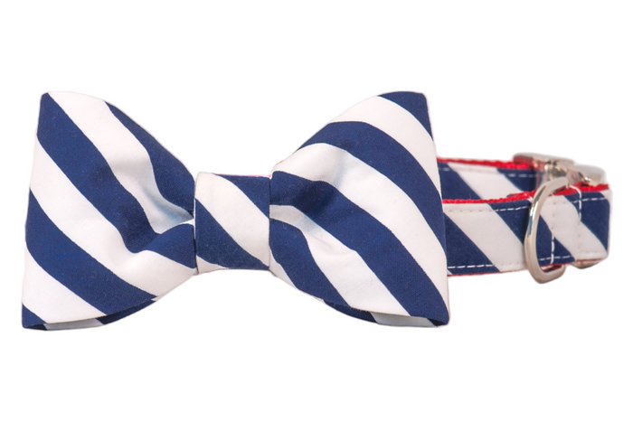 Navy blue and white diagonal striped dog bow tie attached to a matching collar, featuring crisp red stitching along the edges and a shiny silver D-ring, blending preppy style with patriotic flair.