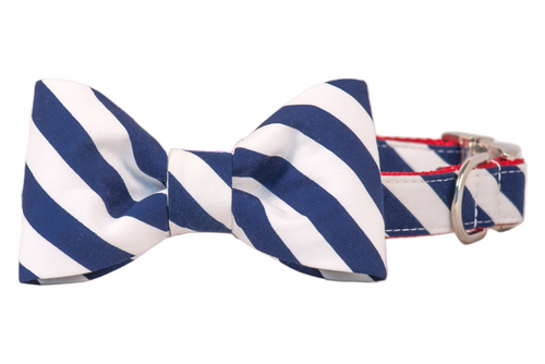Navy blue and white diagonal striped dog bow tie attached to a matching collar, featuring crisp red stitching along the edges and a shiny silver D-ring, blending preppy style with patriotic flair.