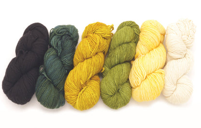 Malabrigo - Merino Worsted / Black Forest Frank Ochre Lettuce Pollen & Natural