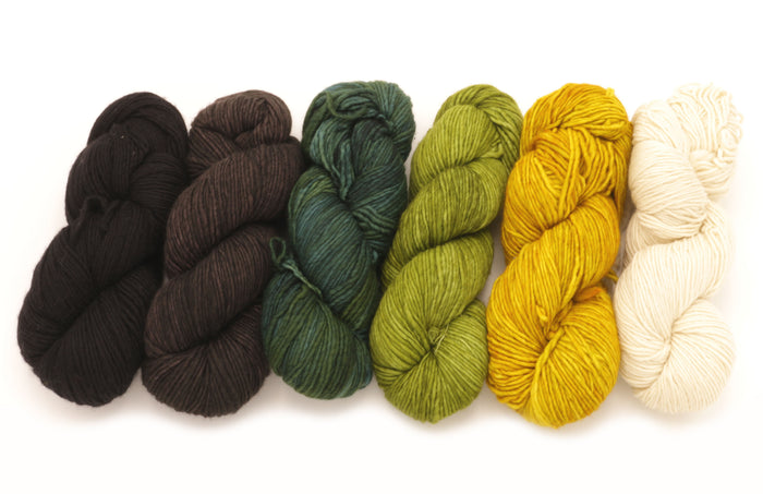 Malabrigo - Merino Worsted / Black Black Forest Forest Lettuce Frank Ochre & Natural