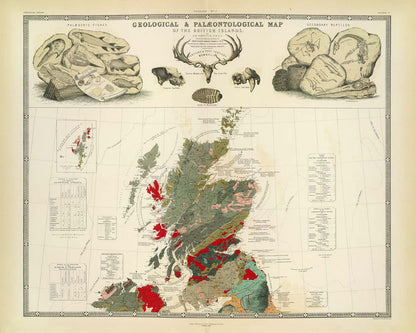 Old Geology & Palaeontology Map of Scotland, 1854, by A.K. Johnston and Edward Forbes - Rare Fossil Wall Chart