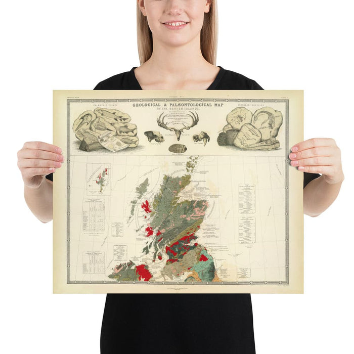 Old Geology & Palaeontology Map of Scotland, 1854, by A.K. Johnston and Edward Forbes - Rare Fossil Wall Chart