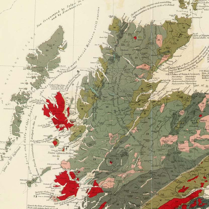 Old Geology & Palaeontology Map of Scotland, 1854, by A.K. Johnston and Edward Forbes - Rare Fossil Wall Chart
