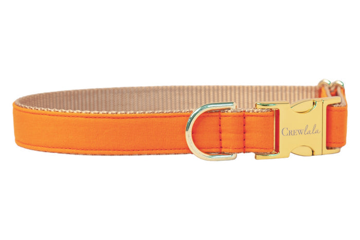 Solid orange pet collar with polished buckle and D-ring. A versatile accessory perfect for fall, Halloween, or adding a cheerful pop of color.