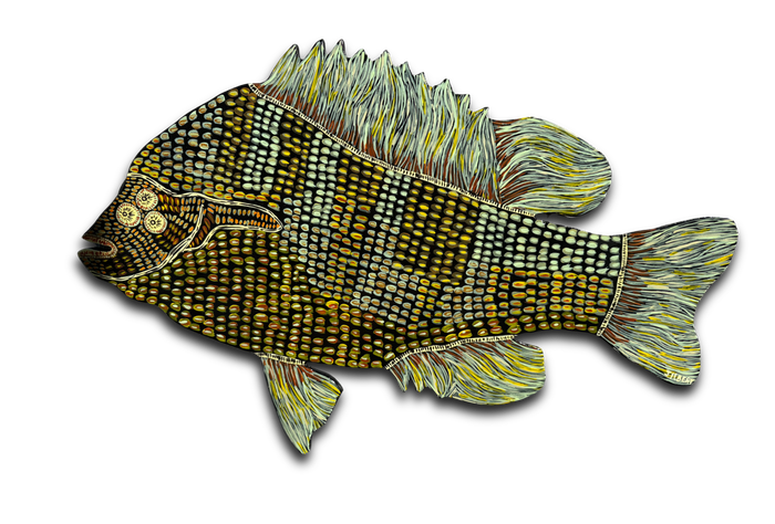 Patrick Jilbert - Sunfish Black L
