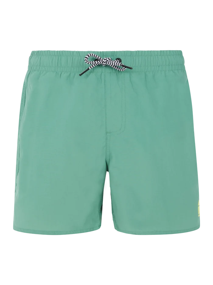 Protest CULTURE JR Boy's Beach Short - Frosty Green