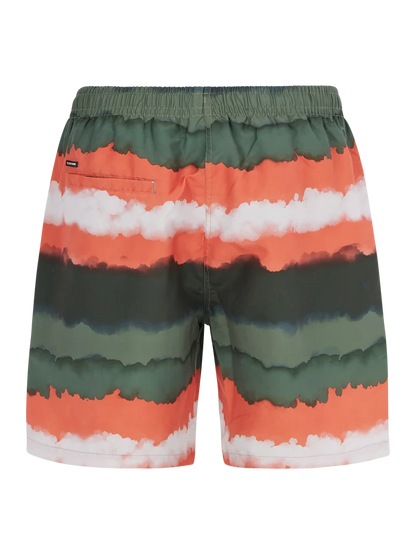 Protest PRTHAMSEY Men's Swim Shorts - Artichoke Green