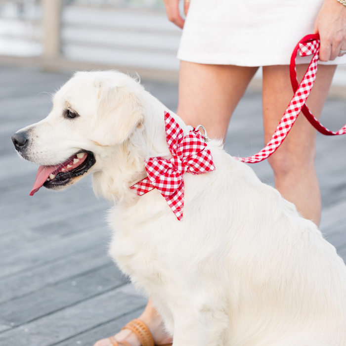 Golden retriever dog with a fluffy coat wearing a red plaid belle bow collar and matching leash. The dog sits calmly on a boardwalk beside a person in a skirt and sandals, creating a coordinated and cute look.