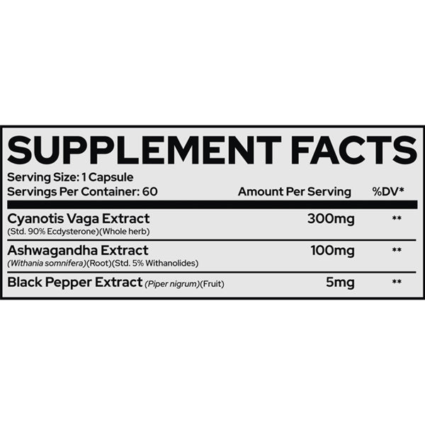 Repp Sports Raze Ecdysterone+ Anabolic Agent Capsules